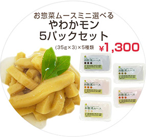 お総菜ムースミニ選べるやわかモン5パックセット 35g×3個×5種類 1300円