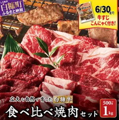 白糠牛 食べ比べセット