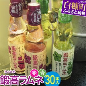 鍛高ラムネ